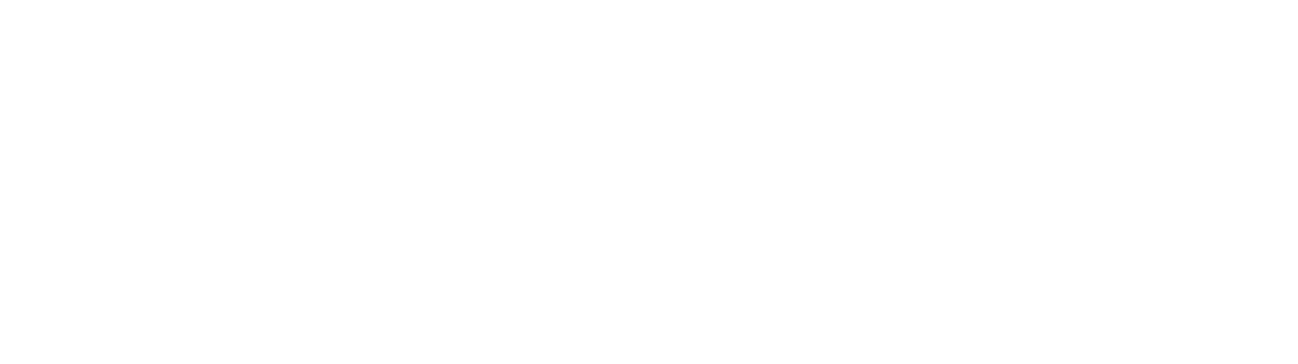 Magnet Customer